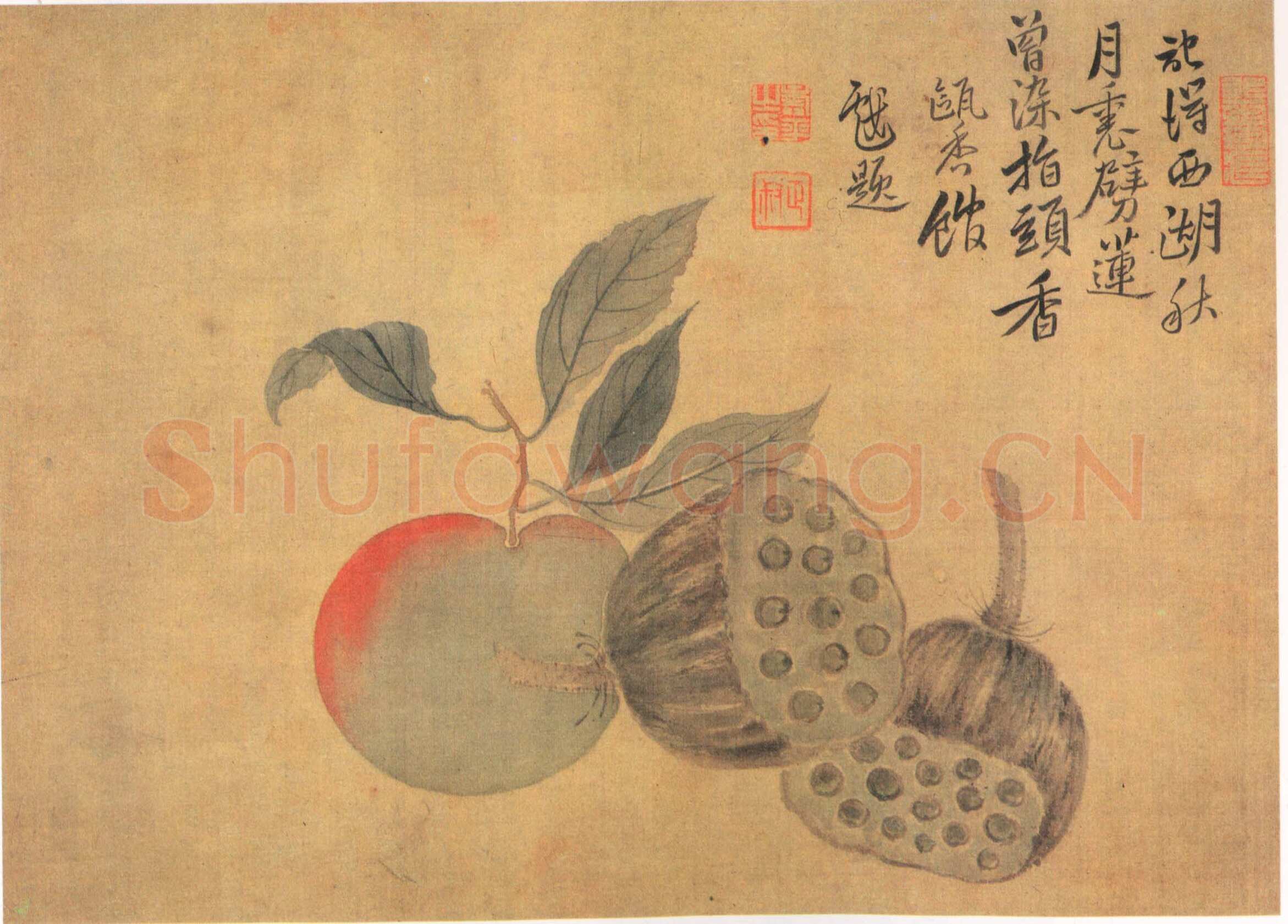 《蔬果册》