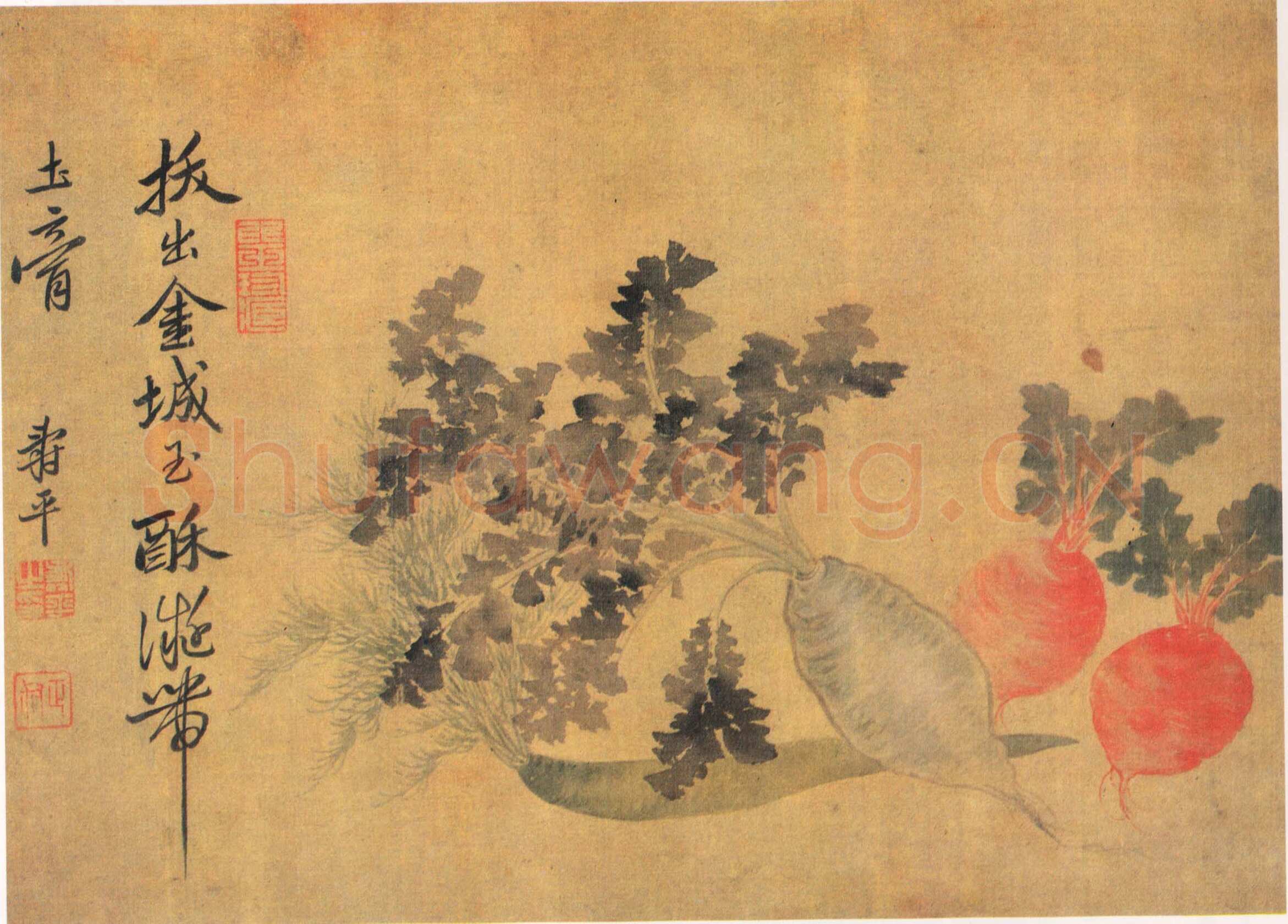 《蔬果册》