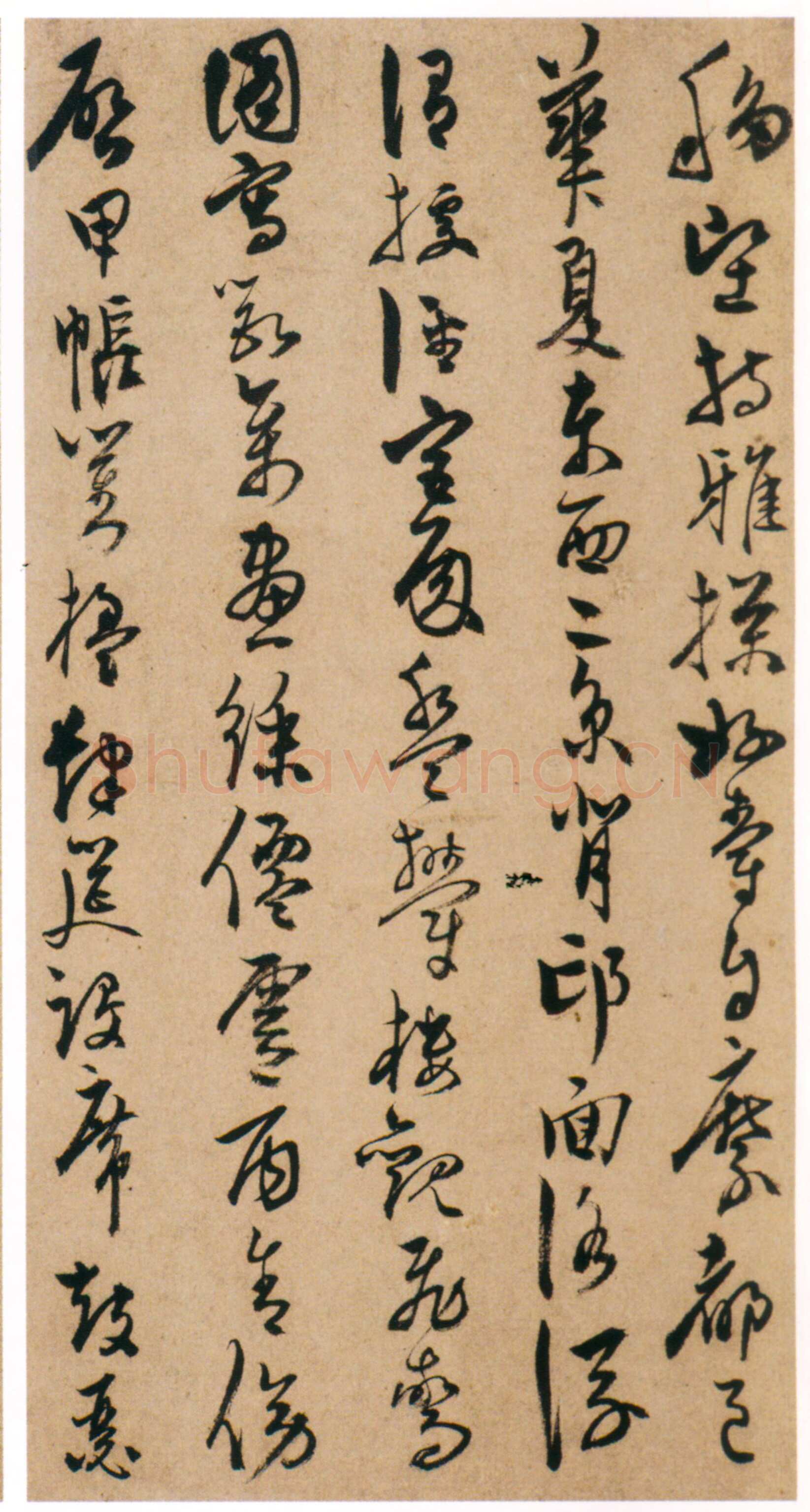 陈淳《草书千字文册》纸本 草书 32×16.5cm×17页 嘉靖十七年(1538)香港中文大学文物馆藏(北山堂捐赠)