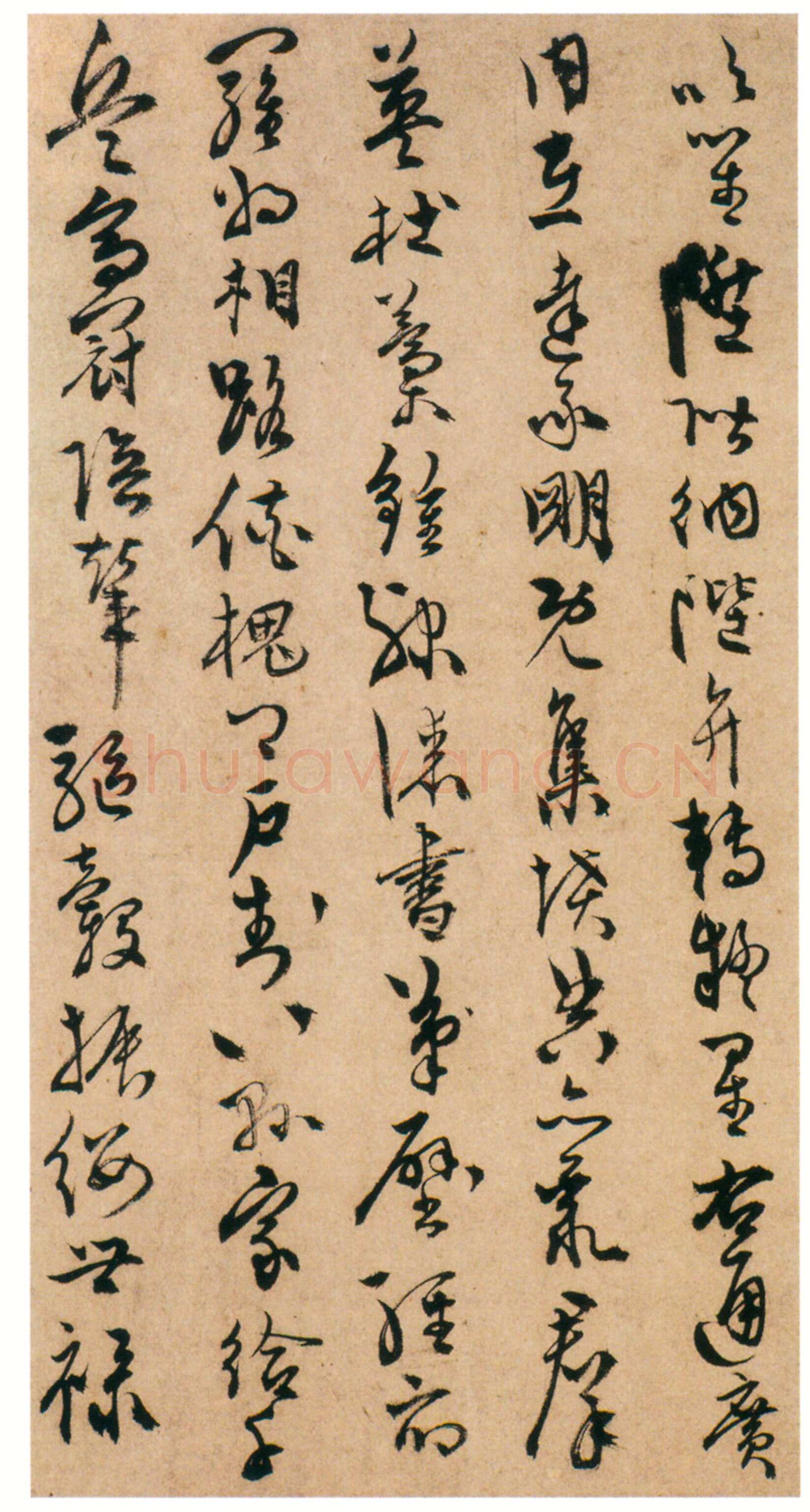 陈淳《草书千字文册》纸本 草书 32×16.5cm×17页 嘉靖十七年(1538)香港中文大学文物馆藏(北山堂捐赠)