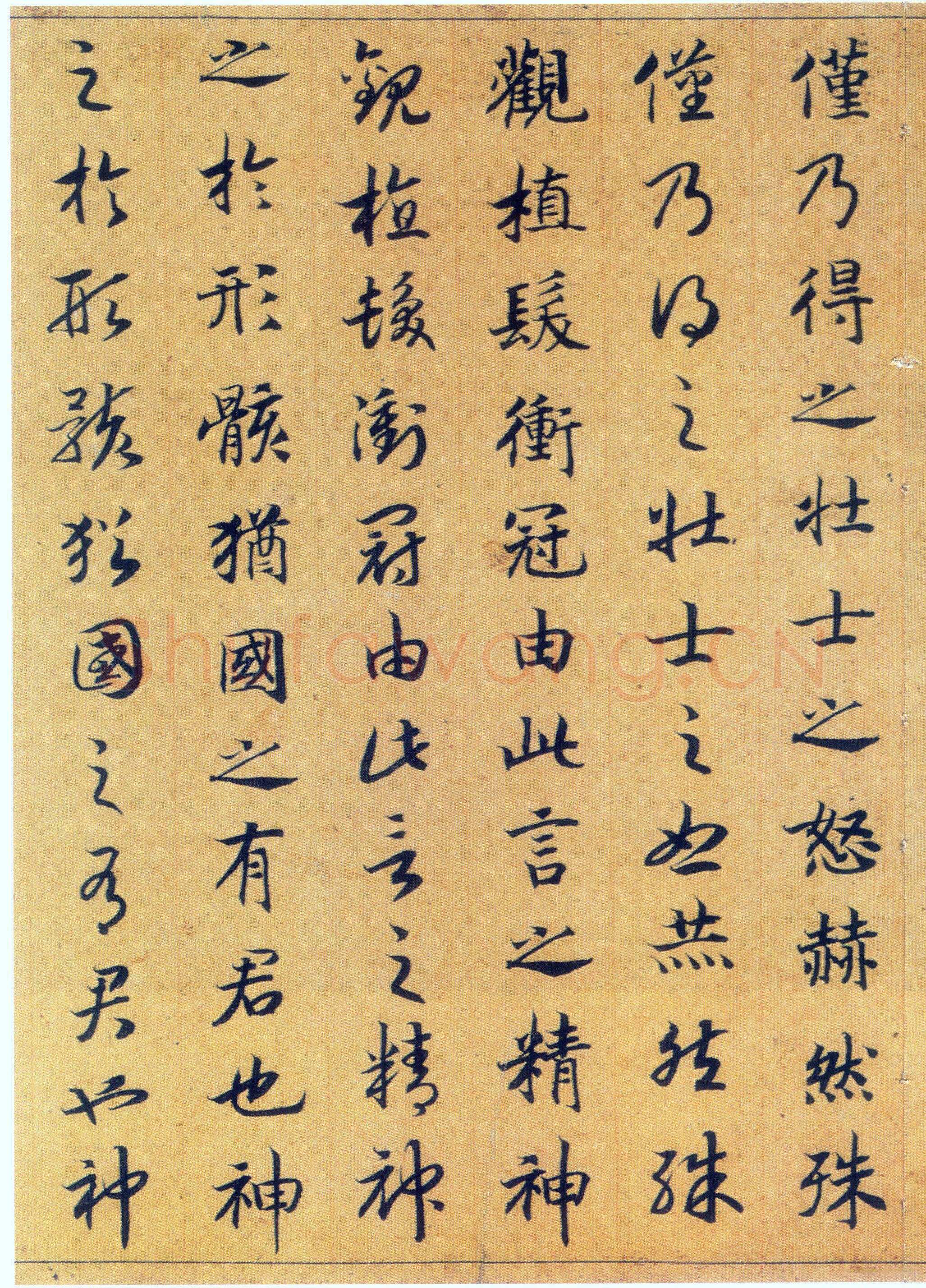 赵构《真草书养生论卷》纸本 23.5×602.8cm 上海博物馆藏