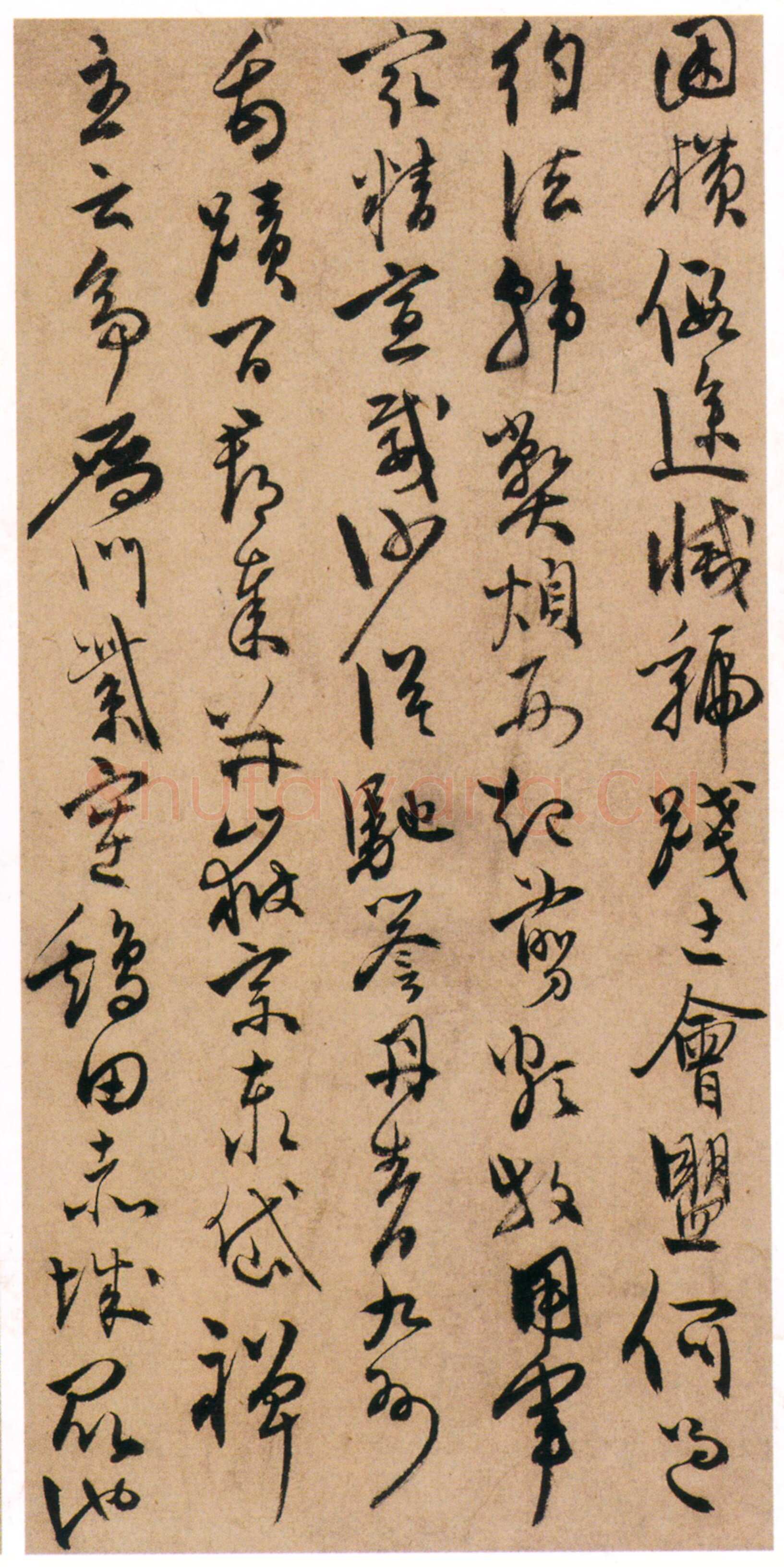 陈淳《草书千字文册》纸本 草书 32×16.5cm×17页 嘉靖十七年(1538)香港中文大学文物馆藏(北山堂捐赠)