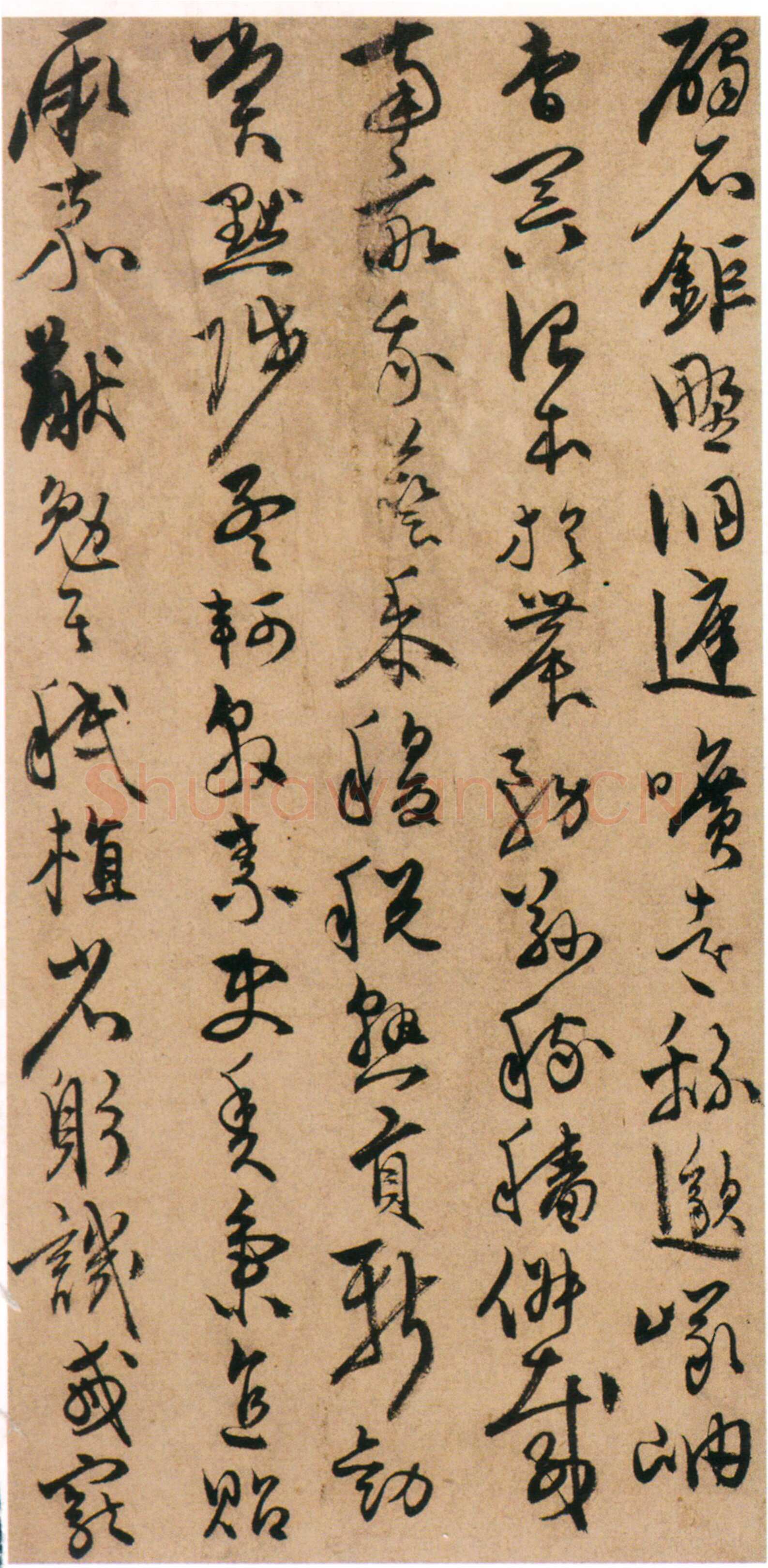 陈淳《草书千字文册》纸本 草书 32×16.5cm×17页 嘉靖十七年(1538)香港中文大学文物馆藏(北山堂捐赠)