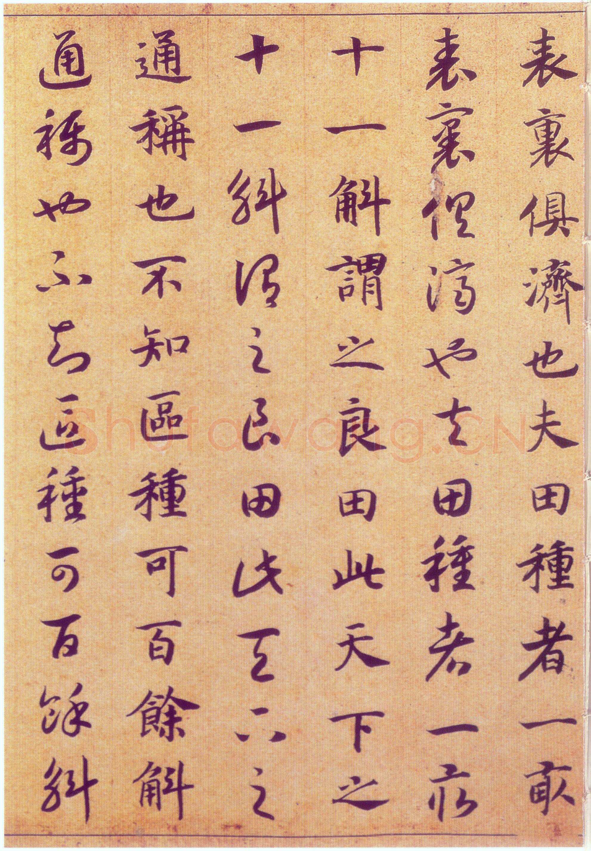 赵构《真草书养生论卷》纸本 23.5×602.8cm 上海博物馆藏