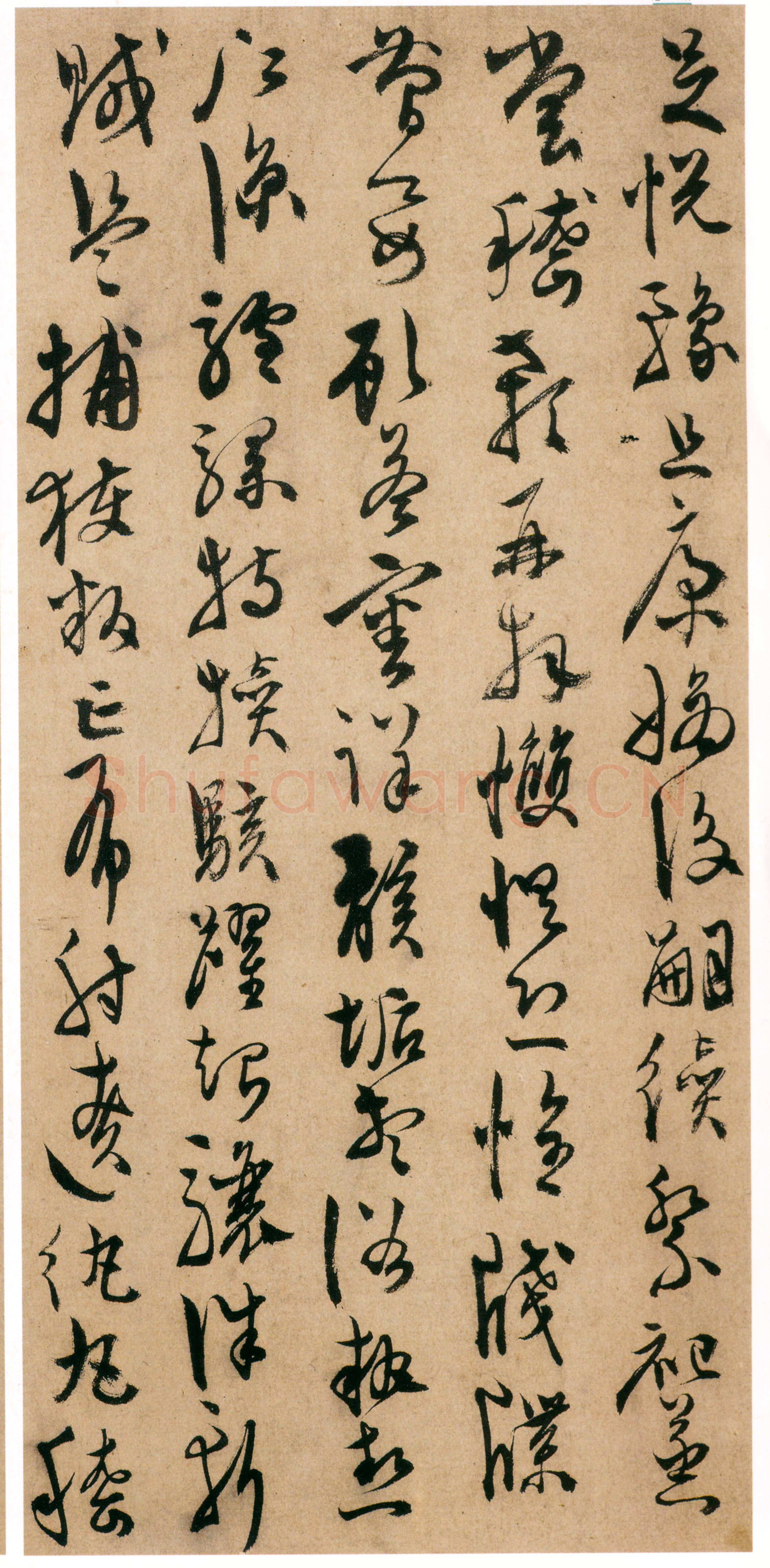 陈淳《草书千字文册》纸本 草书 32×16.5cm×17页 嘉靖十七年(1538)香港中文大学文物馆藏(北山堂捐赠)