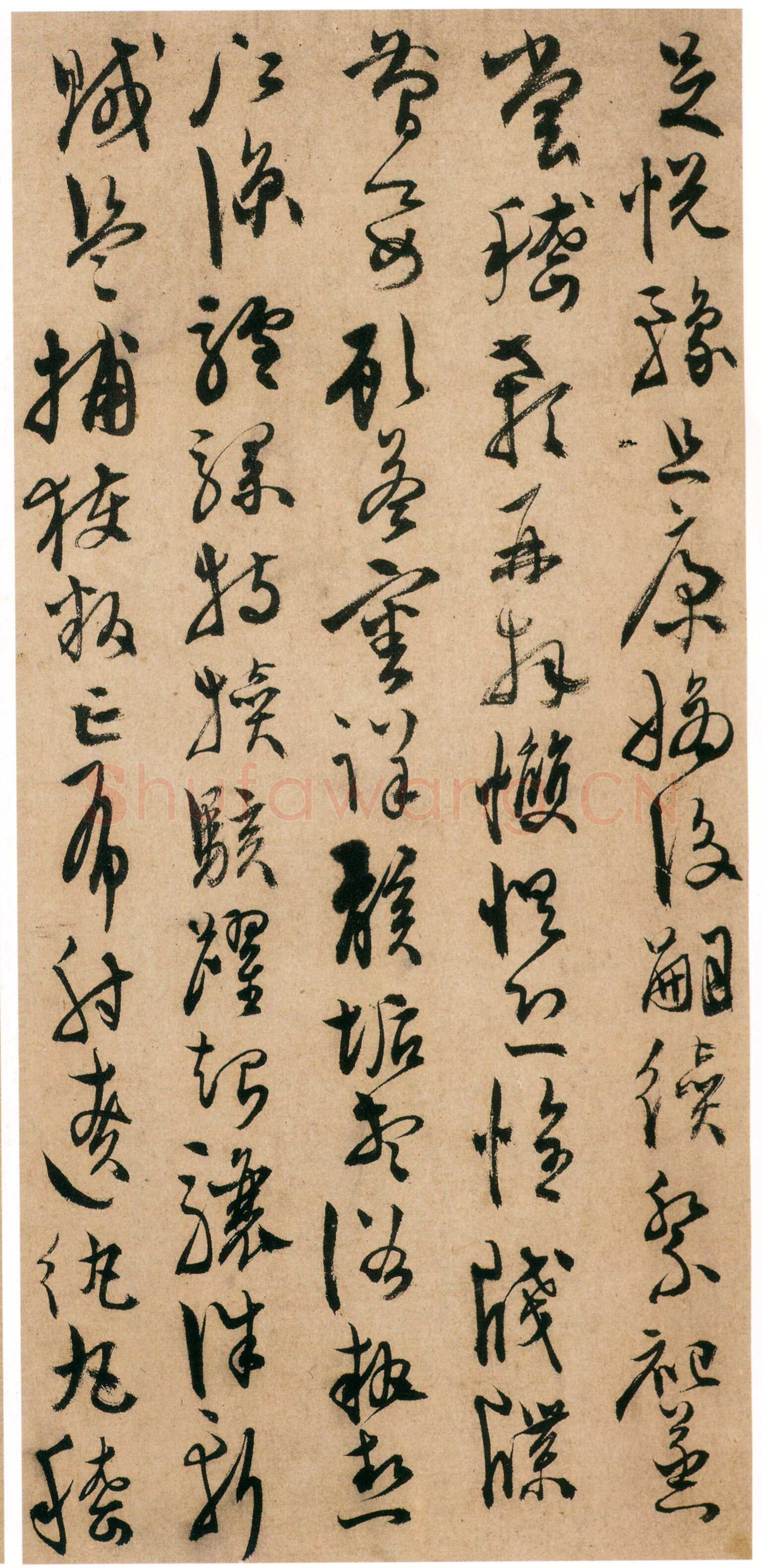 陈淳《草书千字文册》纸本 草书 32×16.5cm×17页 嘉靖十七年(1538)香港中文大学文物馆藏(北山堂捐赠)