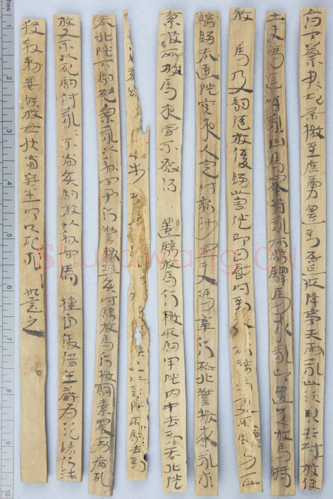 居延误死马驹册汉墨迹作品欣赏,摘自秦汉居延误死马驹册