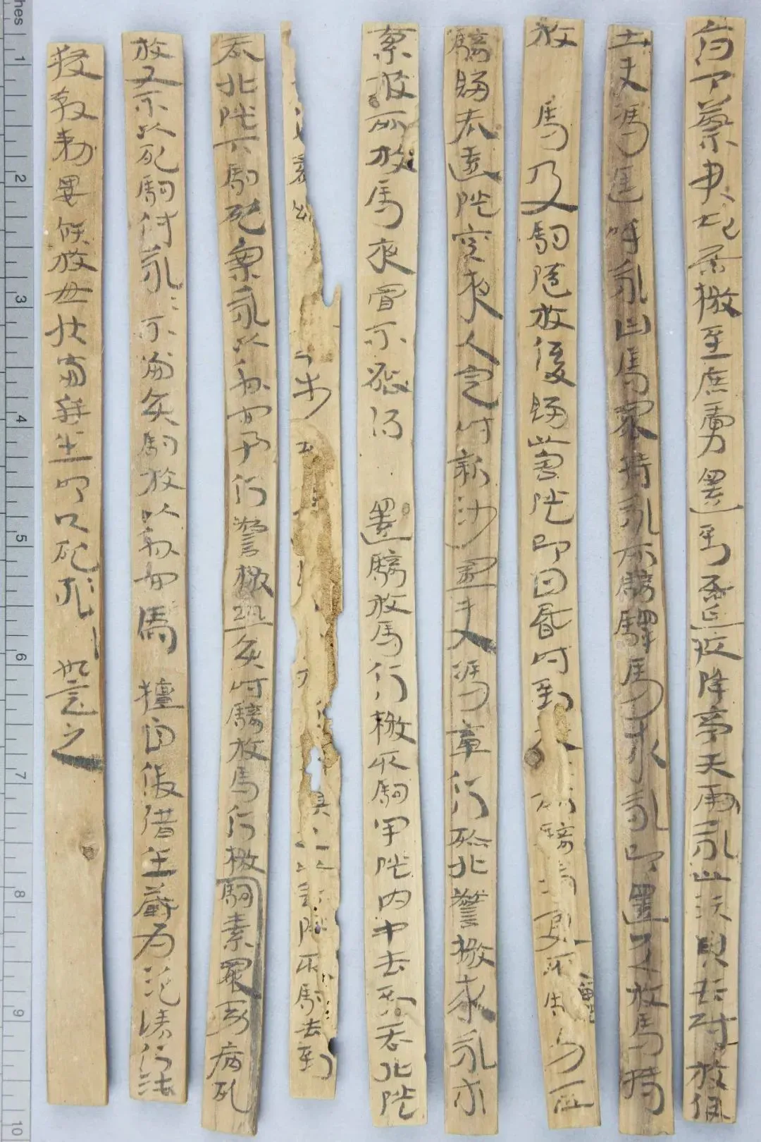 居延误死马驹册汉墨迹作品欣赏,摘自秦汉居延误死马驹册