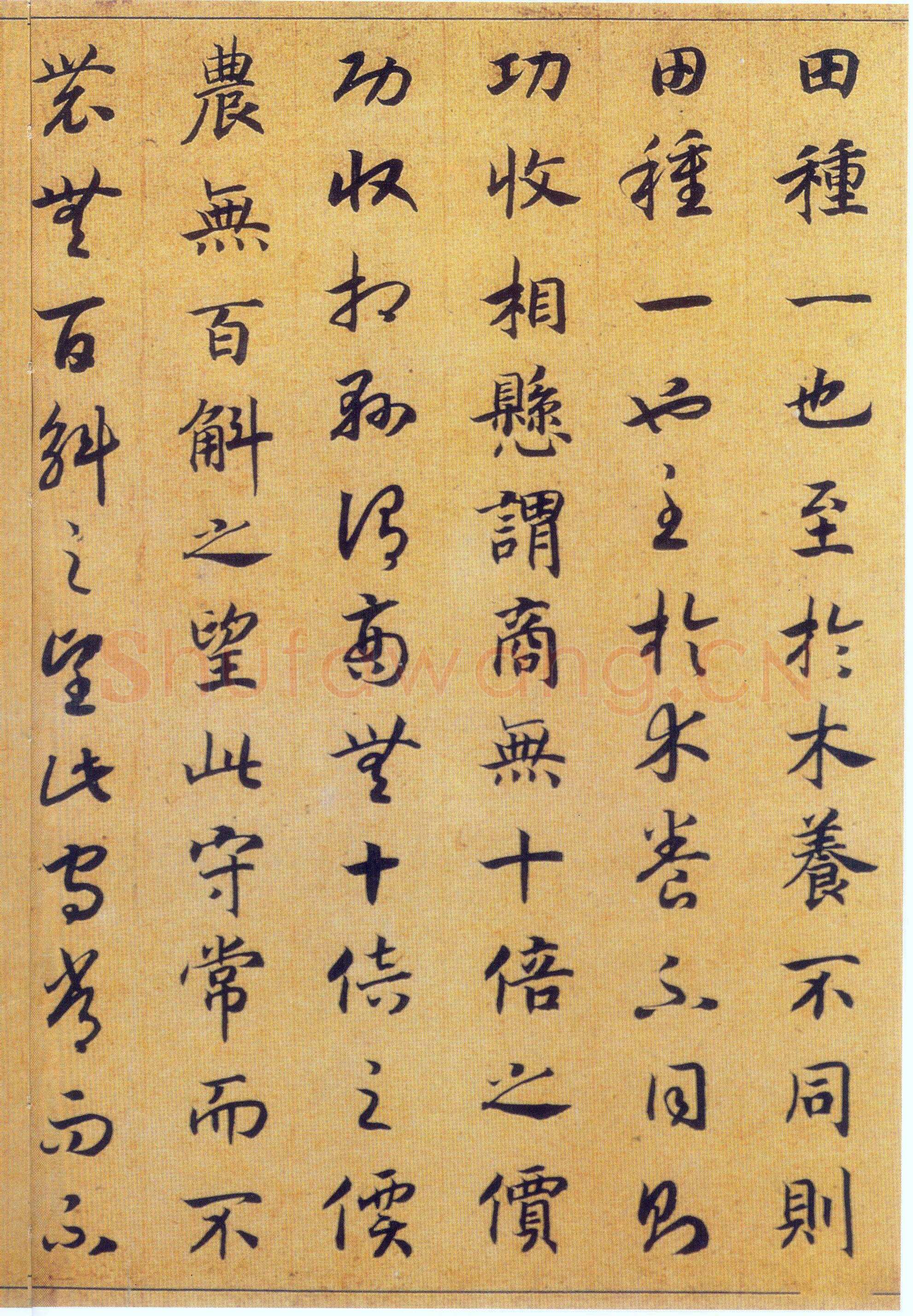赵构《真草书养生论卷》纸本 23.5×602.8cm 上海博物馆藏