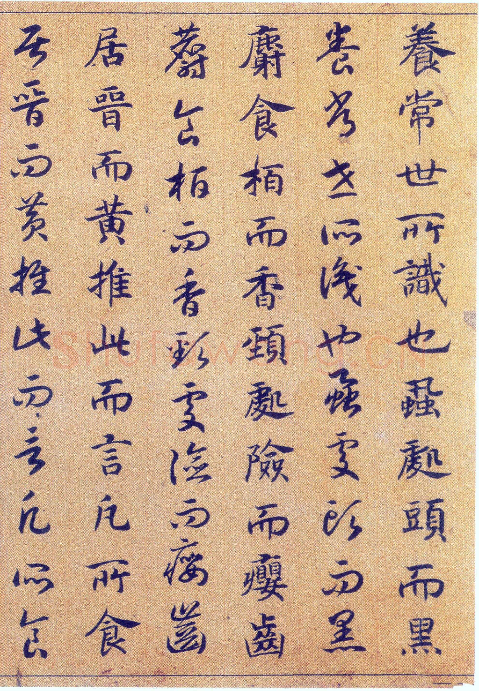 赵构《真草书养生论卷》纸本 23.5×602.8cm 上海博物馆藏