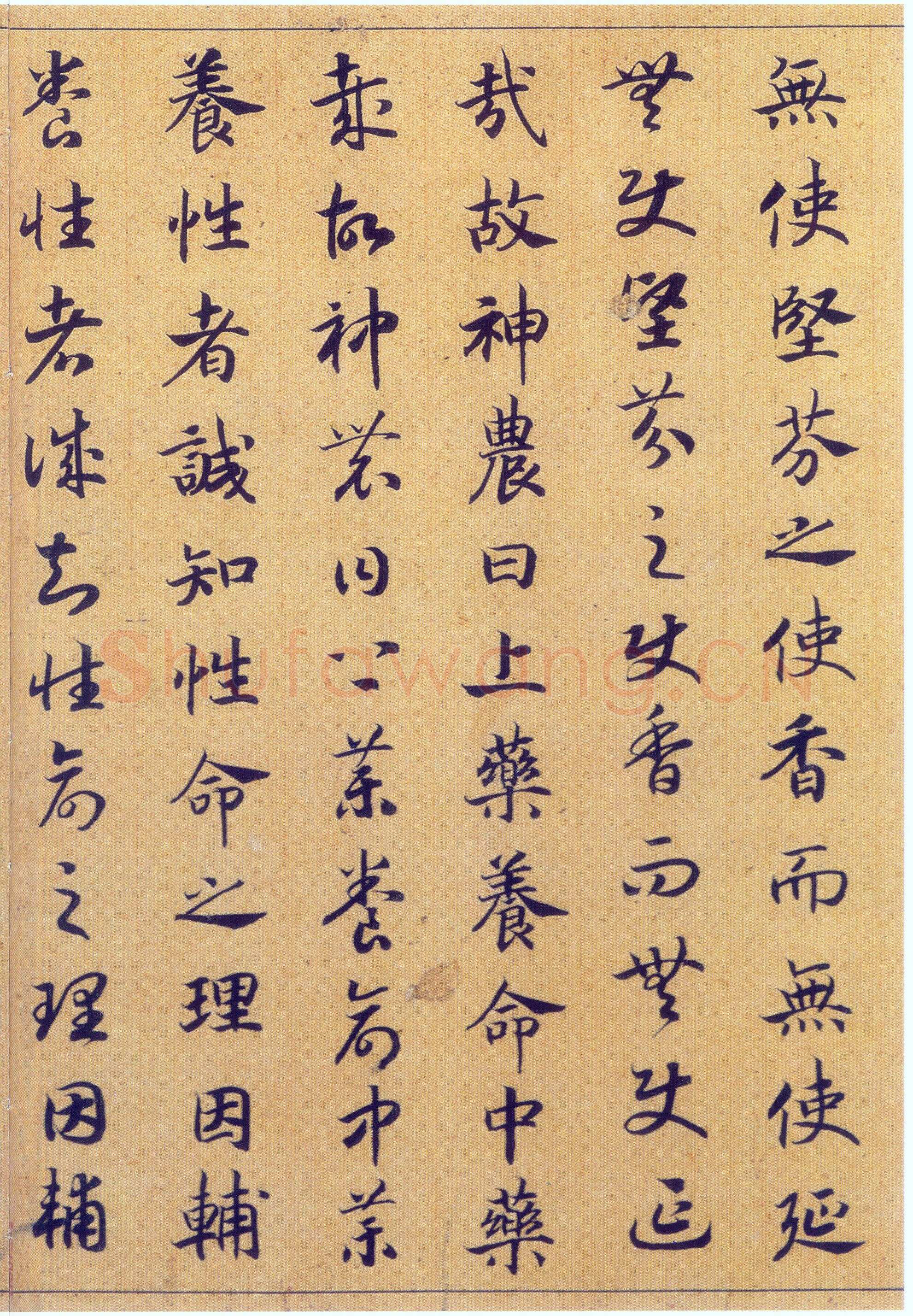 赵构《真草书养生论卷》纸本 23.5×602.8cm 上海博物馆藏