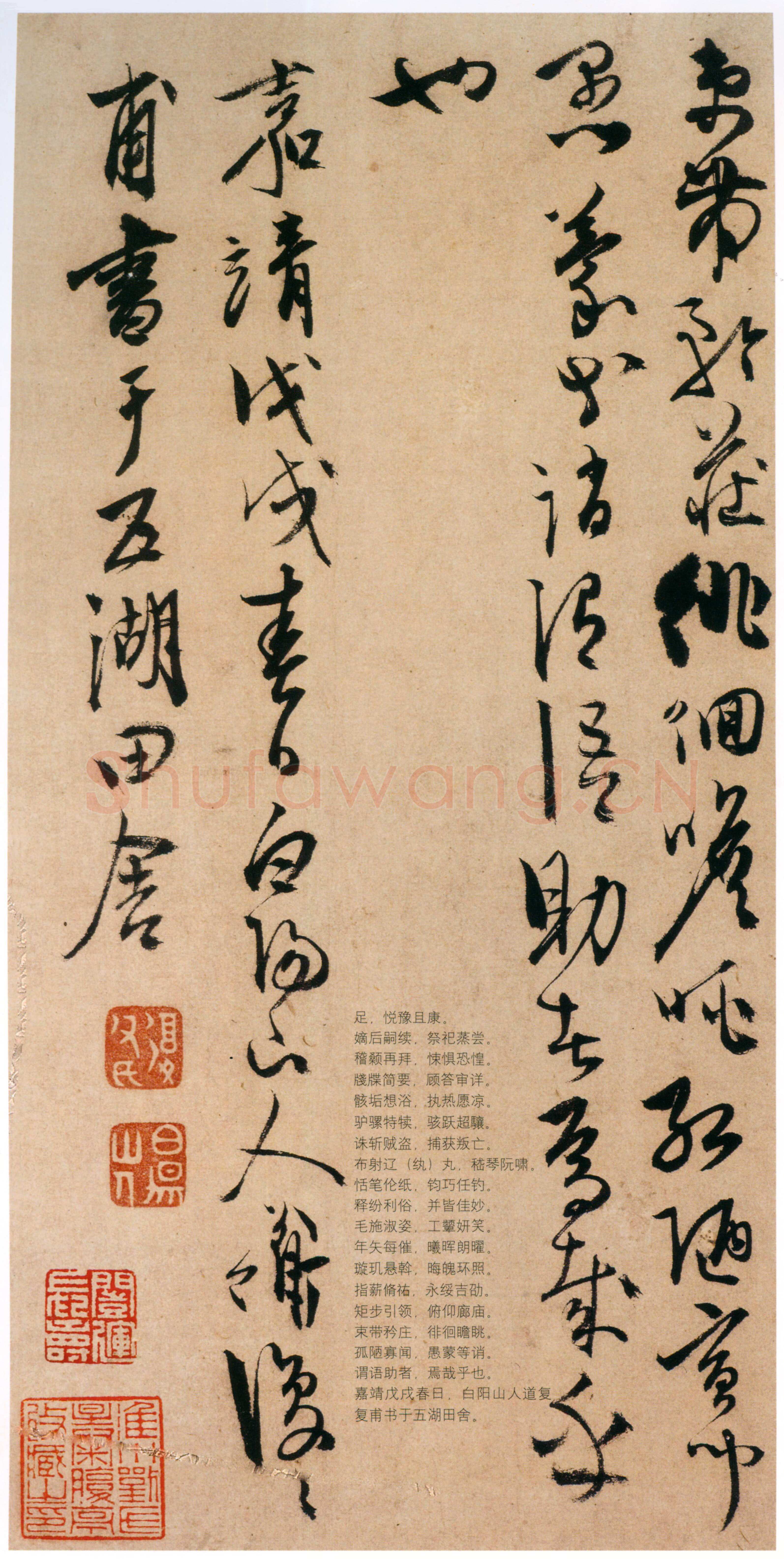 陈淳《草书千字文册》纸本 草书 32×16.5cm×17页 嘉靖十七年(1538)香港中文大学文物馆藏(北山堂捐赠)