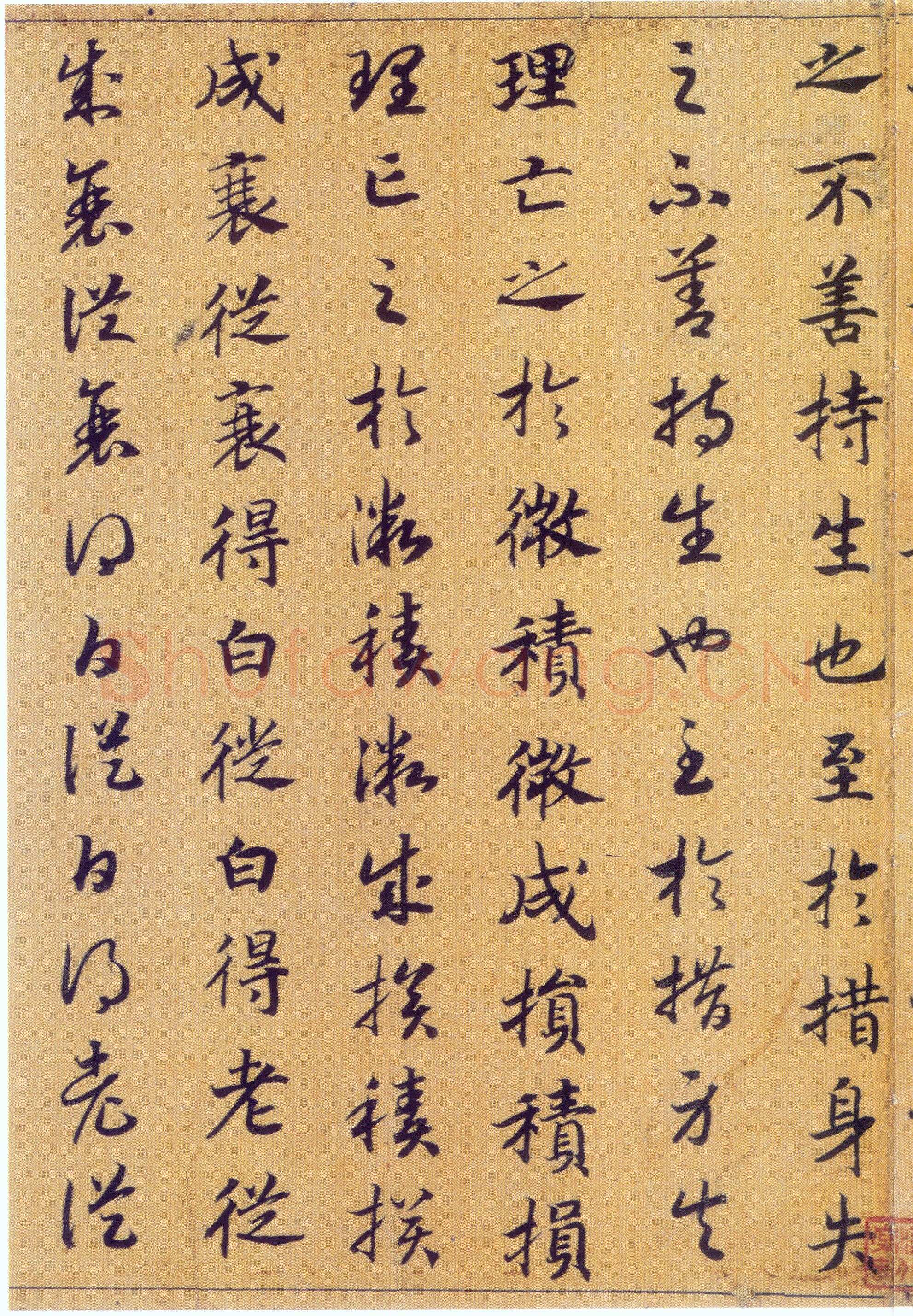 赵构《真草书养生论卷》纸本 23.5×602.8cm 上海博物馆藏