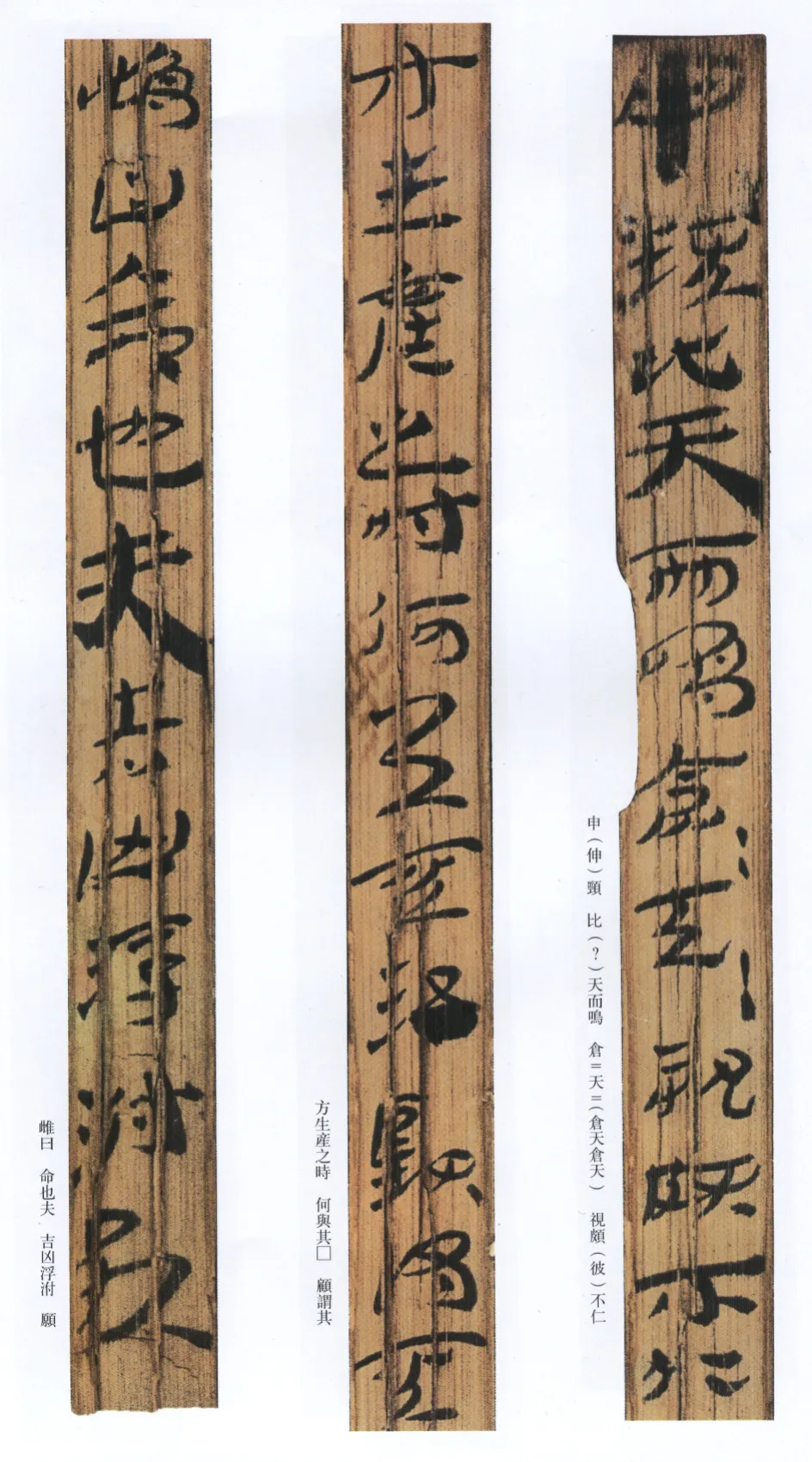 汉墨迹作品神乌傅（选）欣赏,摘自秦汉