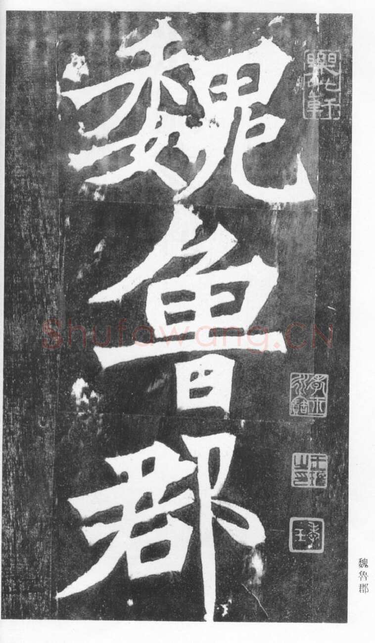 张猛龙碑前秦北朝碑刻碑拓,摘自前秦北朝张猛龙碑(全本)