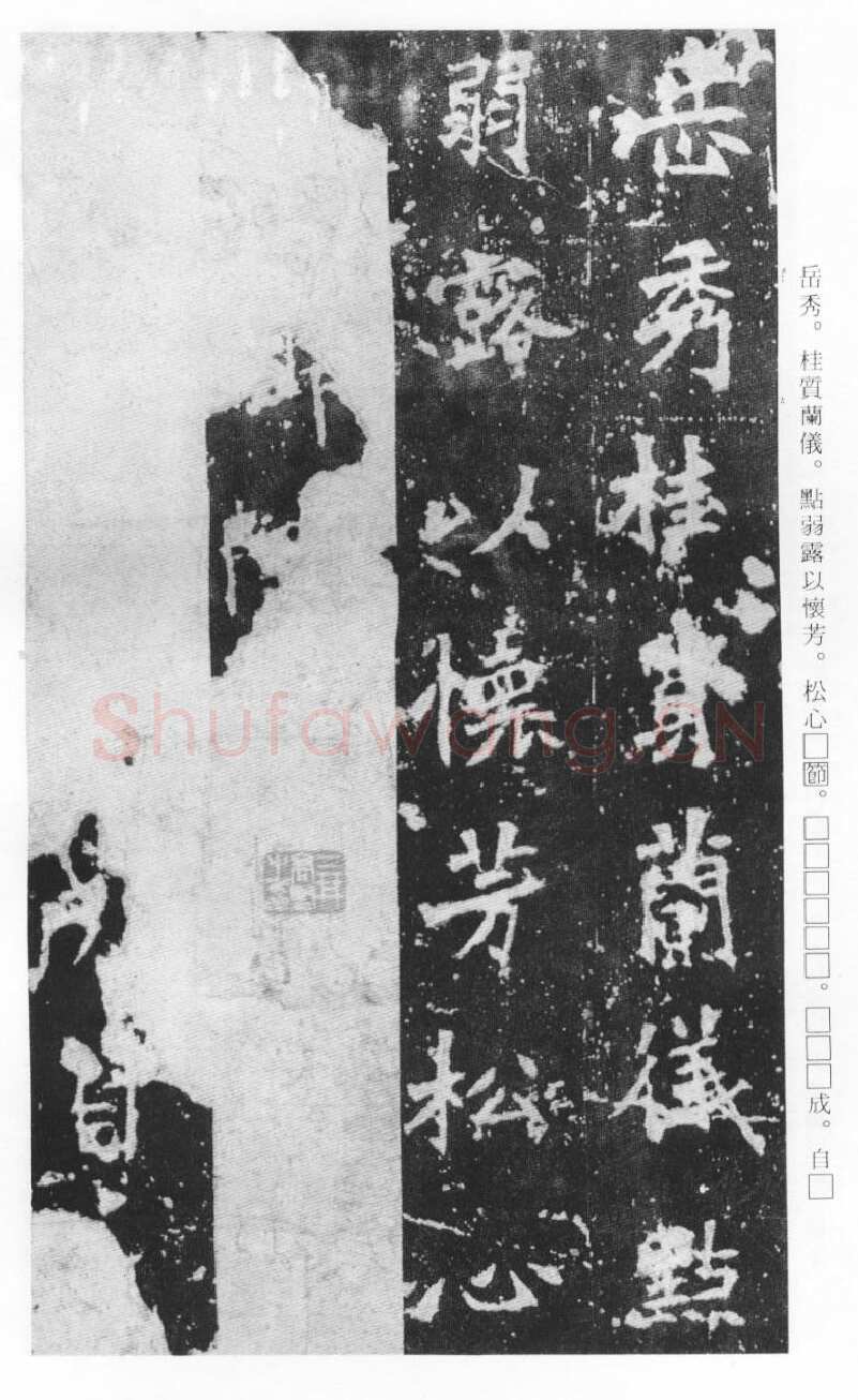 张猛龙碑前秦北朝碑刻碑拓,摘自前秦北朝张猛龙碑(全本)