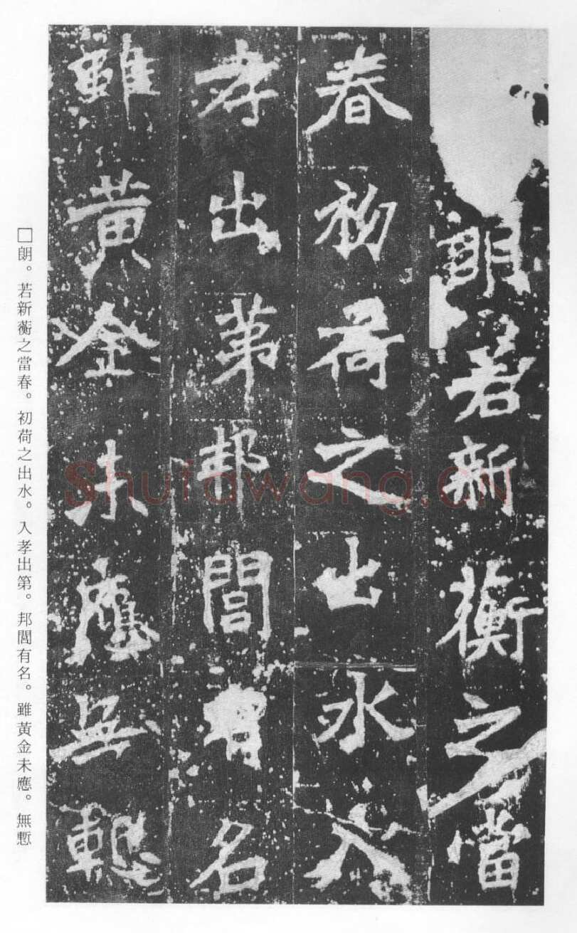 张猛龙碑前秦北朝碑刻碑拓,摘自前秦北朝张猛龙碑(全本)