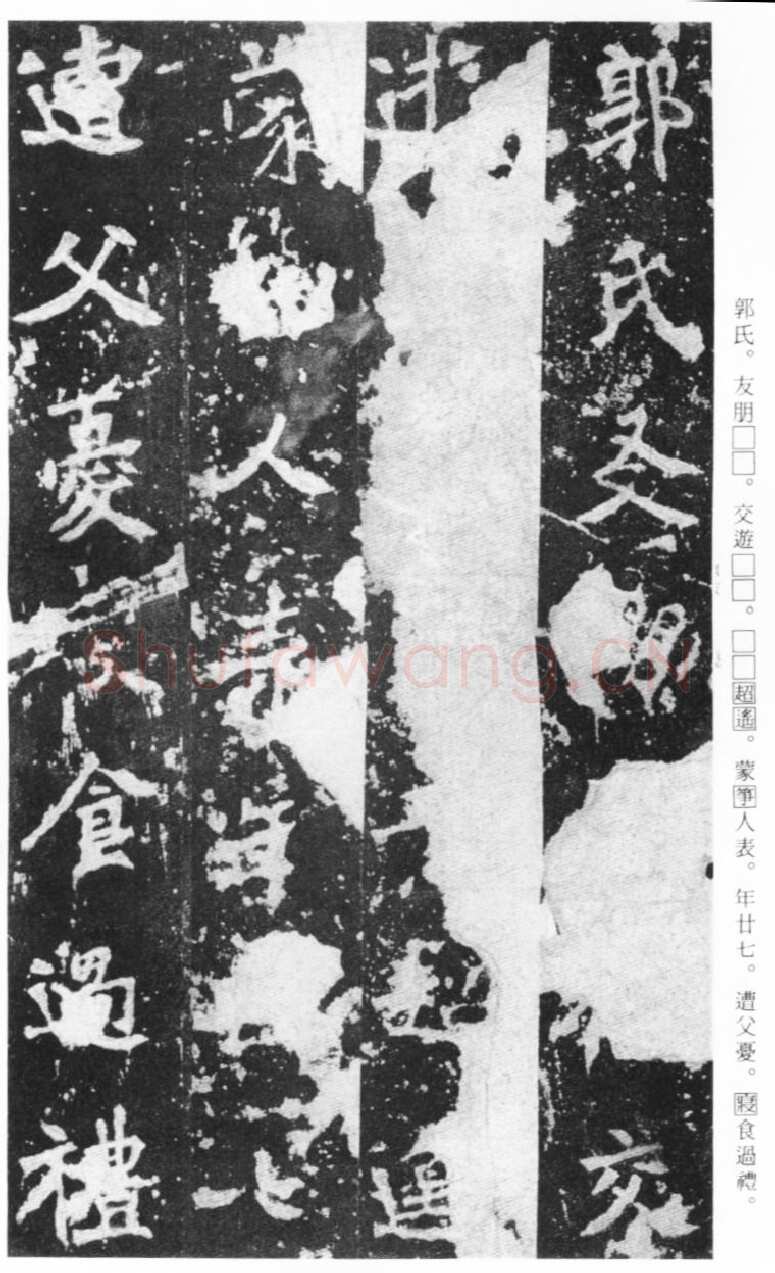 张猛龙碑前秦北朝碑刻碑拓,摘自前秦北朝张猛龙碑(全本)