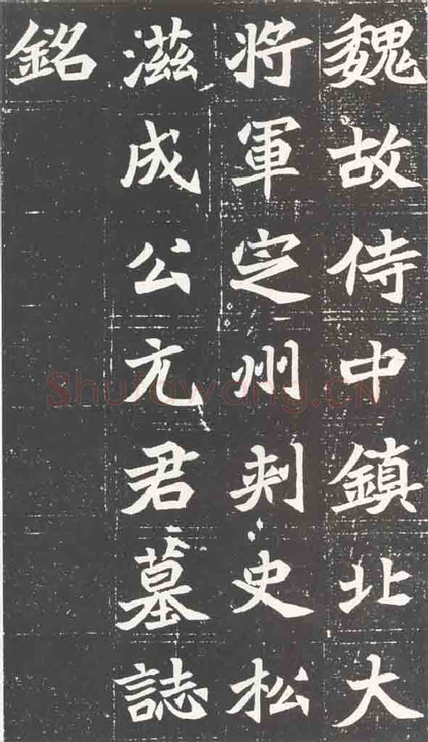 北魏元苌墓志前秦北朝碑刻碑拓,摘自前秦北朝元苌墓志(全本)