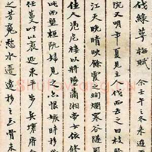 近现代游寿《伐绿萼梅赋》手稿 1946年