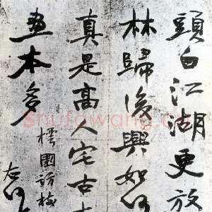 近现代于右任《行书樗园访树人诗轴》纸本行书 55.6×70cm 1932年作 王澄提供