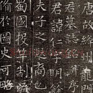 唐代张旭《严仁墓志》