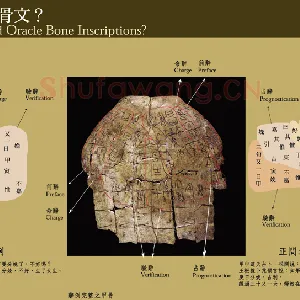 甲骨文小百科
