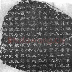 杨骏残志