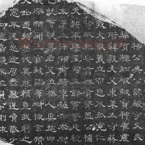 杨骏残志