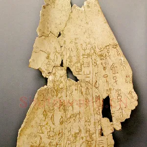 传世甲骨文图片17