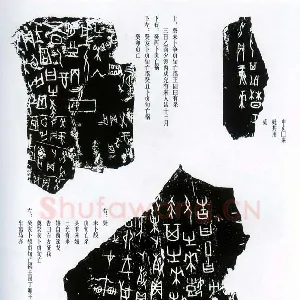 甲骨文拓片精选6