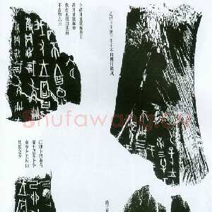 甲骨文拓片精选9