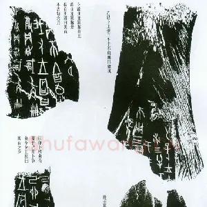 甲骨文拓片精选9
