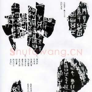 甲骨文拓片精选11