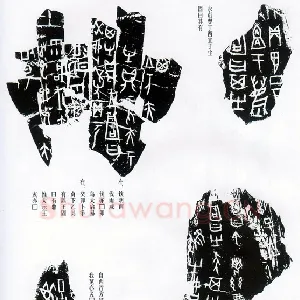甲骨文拓片精选11
