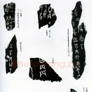 甲骨文拓片精选13