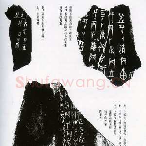 甲骨文拓片精选19
