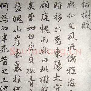元代赵孟頫《临褚遂良枯树赋》纸本 行书 资料不详