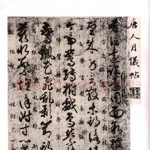 唐朝 袁滋 草书《唐人月仪帖》