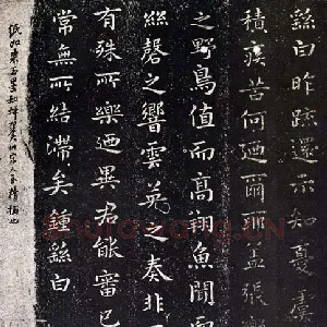 还示表