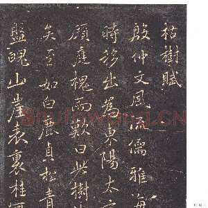 唐朝褚遂良《枯树赋》明拓本 行书 26.2×15.1cm 贞观四年(630) 日本三井纪念美术馆藏