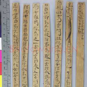 居延误死马驹册