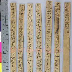 居延误死马驹册