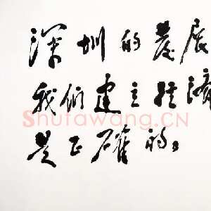 近现代邓小平为深圳经济特区题词1984
