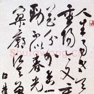 近现代白蕉《草书毛主席诗词立轴》97×48 cm 著录《温州市工艺美术研究所藏画集》